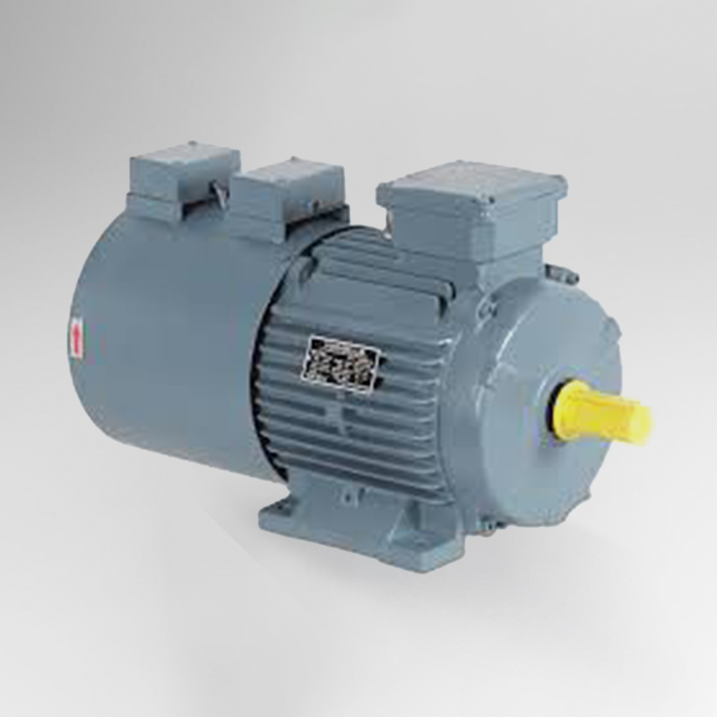 Havells Inverter Duty Motors